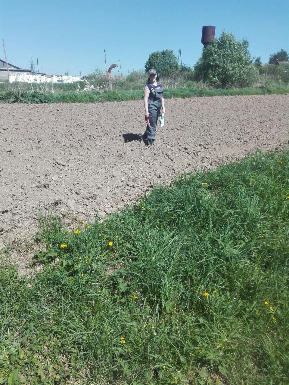 Карантин: Россельхознадзор выявил зараженные картофельным вредителем участки Карантин: Россельхознадзор выявил зараженные картофельным вредителем участки