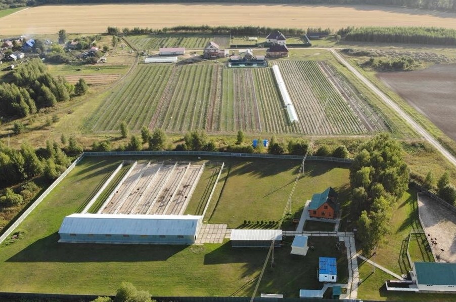 В Ивановской области за 15 млн продают страусиную ферму В Ивановской области за 15 млн продают страусиную ферму