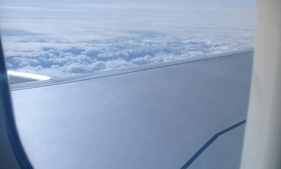 «Ласточка» Москва — Иваново и обратно не отменена из-за коронавируса «Ласточка» Москва — Иваново и обратно не отменена из-за коронавируса