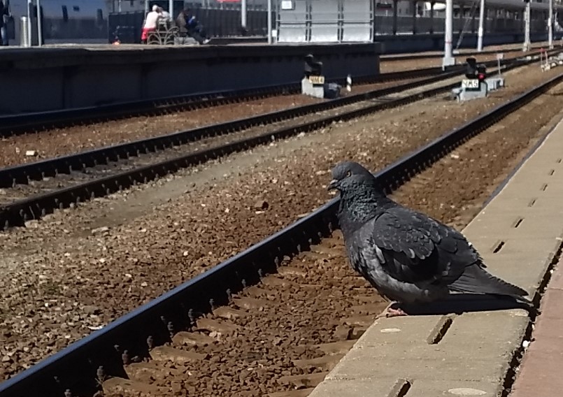 Все приехавшие в Ивановскую область люди обязаны уходить на 14-дневный карантин Все приехавшие в Ивановскую область люди обязаны уходить на 14-дневный карантин