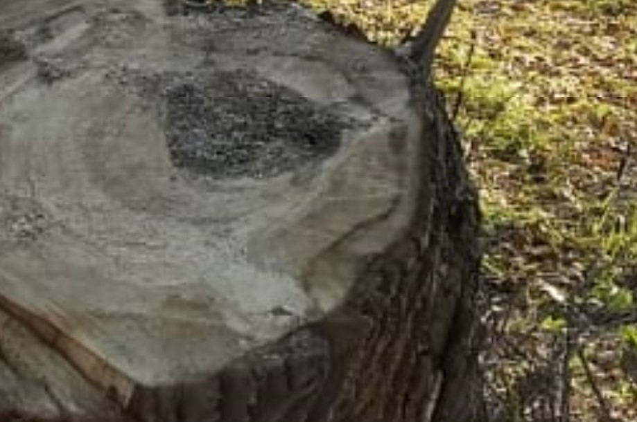 В Приволжске разыскивают садиста после возбуждения уголовного дела В Приволжске разыскивают садиста после возбуждения уголовного дела