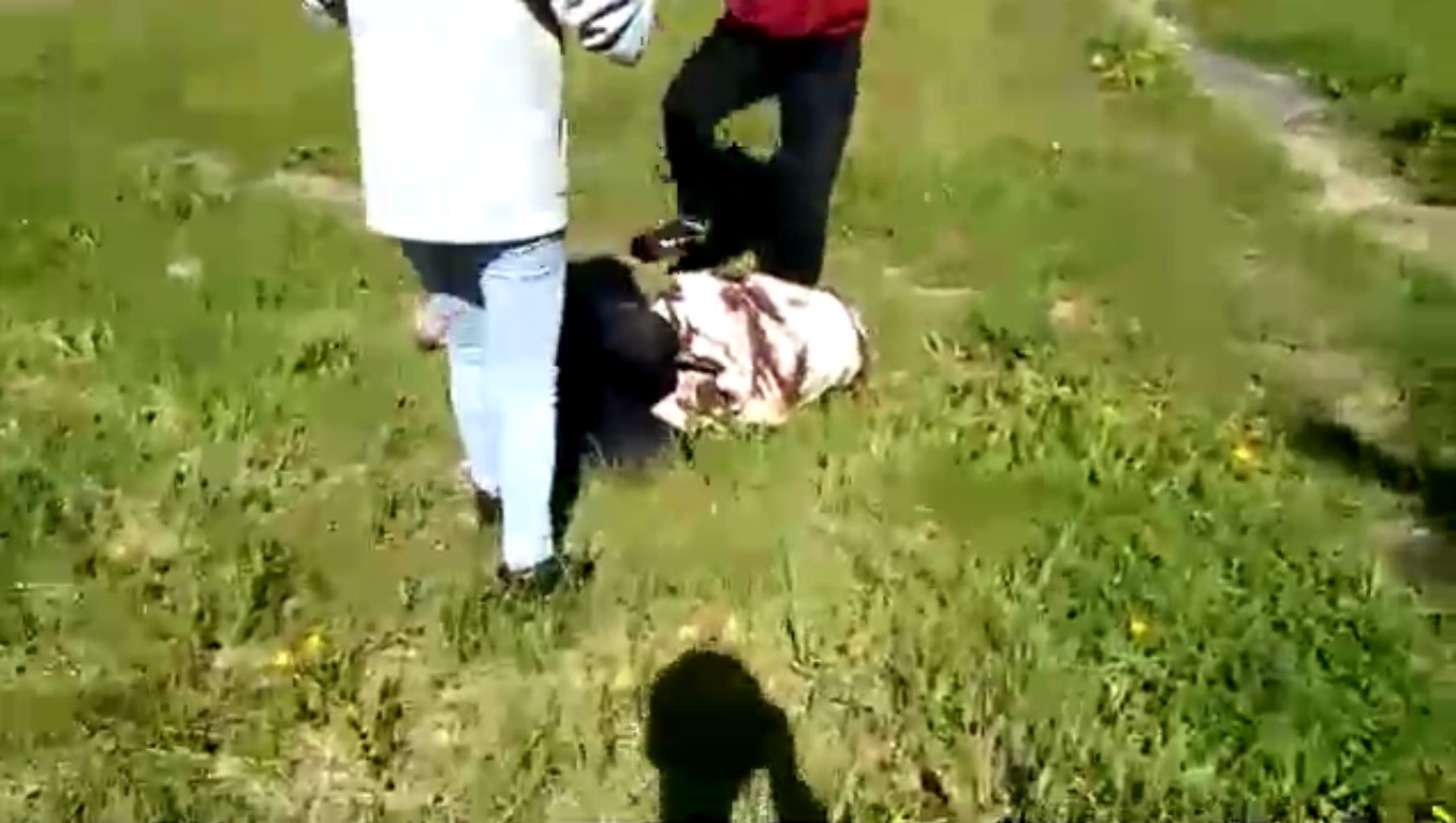 Следователи проверят избиение девочки в Родниках В Родниках избили девочку: последние подробности