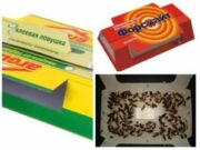 Самые эффективные ловушки для тараканов