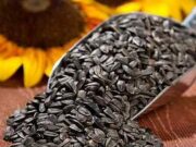 Как выгодно приобрести семена подсолнечника?