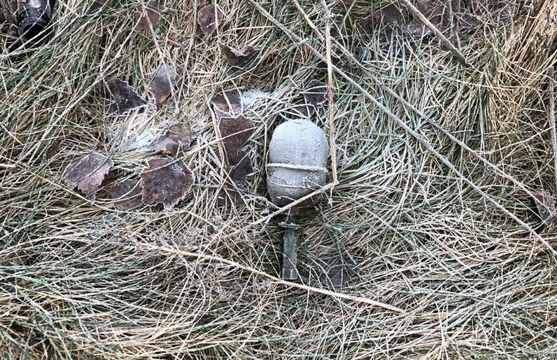 В Кохме нашли гранату: Росгвардия рассказала подробности В Кохме нашли гранату: Росгвардия рассказала подробности