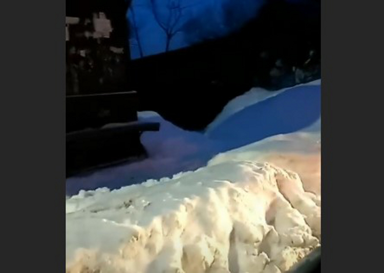 Мэрия быстро отреагировала на сообщение «Иваново37» о заснеженной остановке Мэрия быстро отреагировала на сообщение «Иваново37» о заснеженной остановке