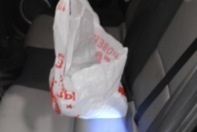 Троих парней задержали после копания снега в парке Хрущева Троих парней задержали после копания снега в парке Хрущева