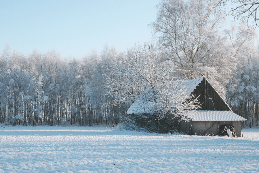 Оформил и забыл: в Верхнем Ландехе прокуратура потребовала обработать землю Оформил и забыл: в Верхнем Ландехе прокуратура потребовала обработать землю