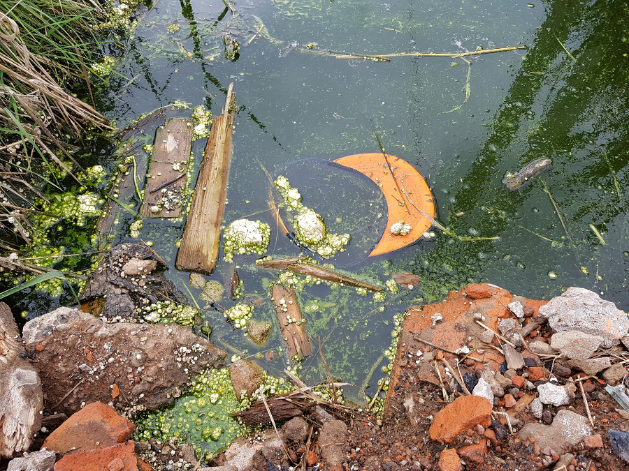 В Ивановском районе в канаве утонул 3-летний мальчик В Ивановском районе в канаве утонул 3-летний мальчик