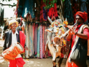 Экскурсии в Гоа и по всей Индии: Путешествие по землям чудес