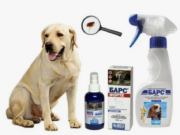 Эффективные средства от блох и клещей для собак: как защитить вашего четвероногого друга?