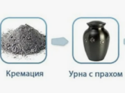 Как достойно проводить домашнего питомца: кремация животных в Москве