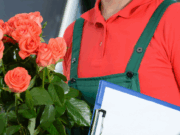 Как устроена доставка цветов: все, что нужно знать перед заказом