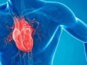 Севикар и здоровье сердца: как препарат помогает сохранять важный орган