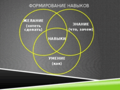 Способы получения знаний и развитие навыков для успешной работы дизайнером