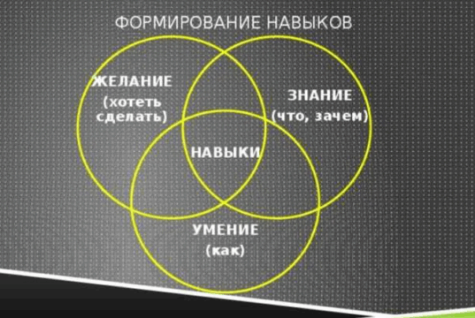 Способы получения знаний и развитие навыков для успешной работы дизайнером