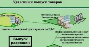 Ошибки в переводе таможенных деклараций: риски и последствия