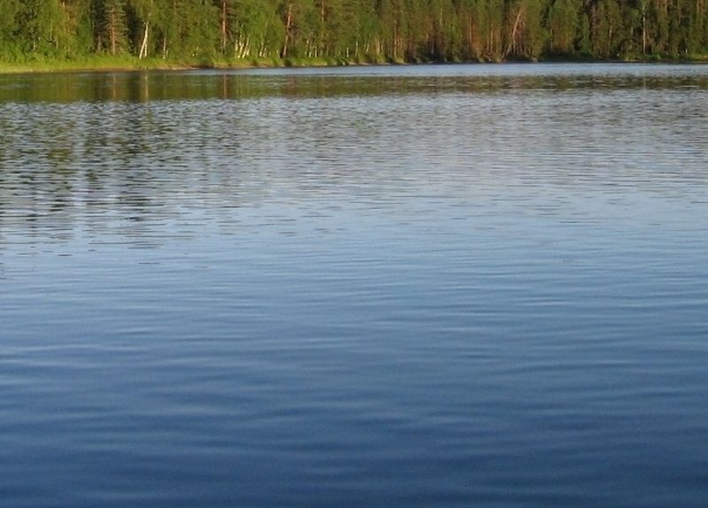 В Кинешемском районе утонул 9-летний мальчик В Уводи во вторник утонул мужчина