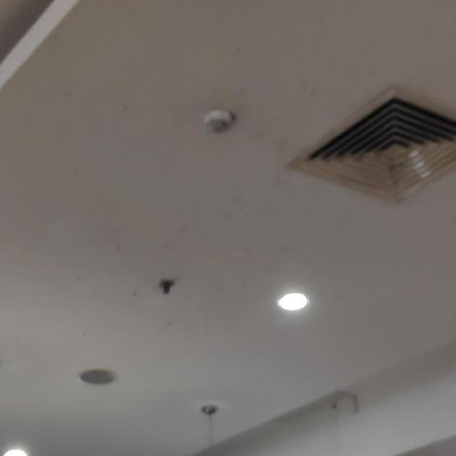 На футкорте в «Серебряном городе» увидели грибок На футкорте в «Серебряном городе» увидели грибок