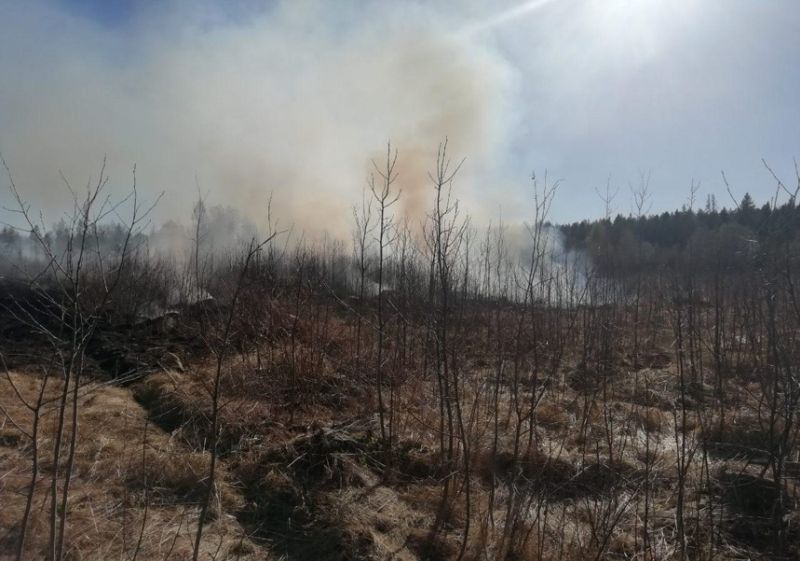 Ивановцев предупреждают о недопустимости выжигания сухой травы Ивановцев предупреждают о недопустимости выжигания сухой травы