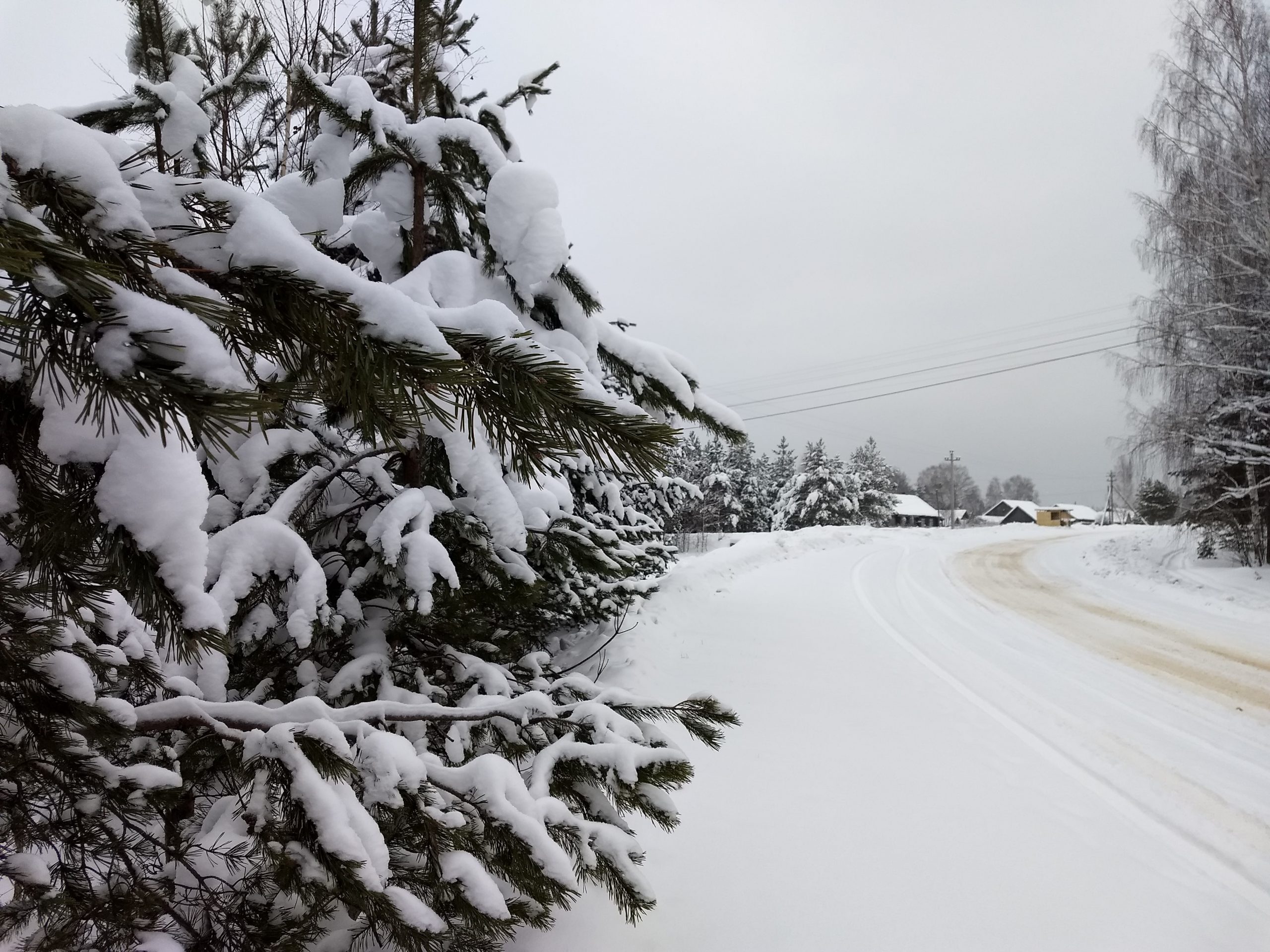 Клуб «8 путешествий» рассказал о новогодних турах в Иваново Клуб «8 путешествий» рассказал о новогодних турах в Иваново