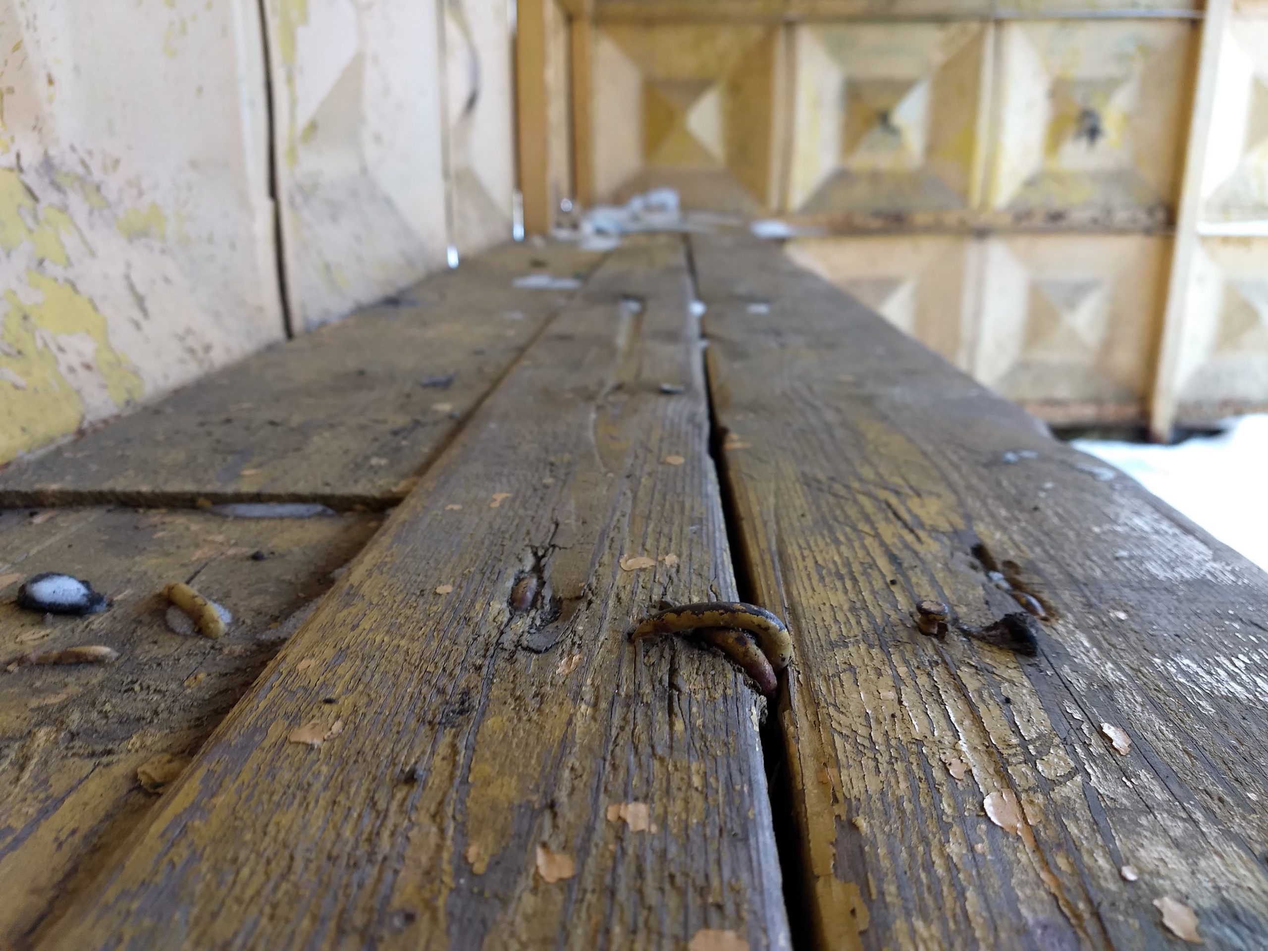 В ивановской маршрутке снова пострадала пассажирка В ивановской маршрутке снова пострадала пассажирка