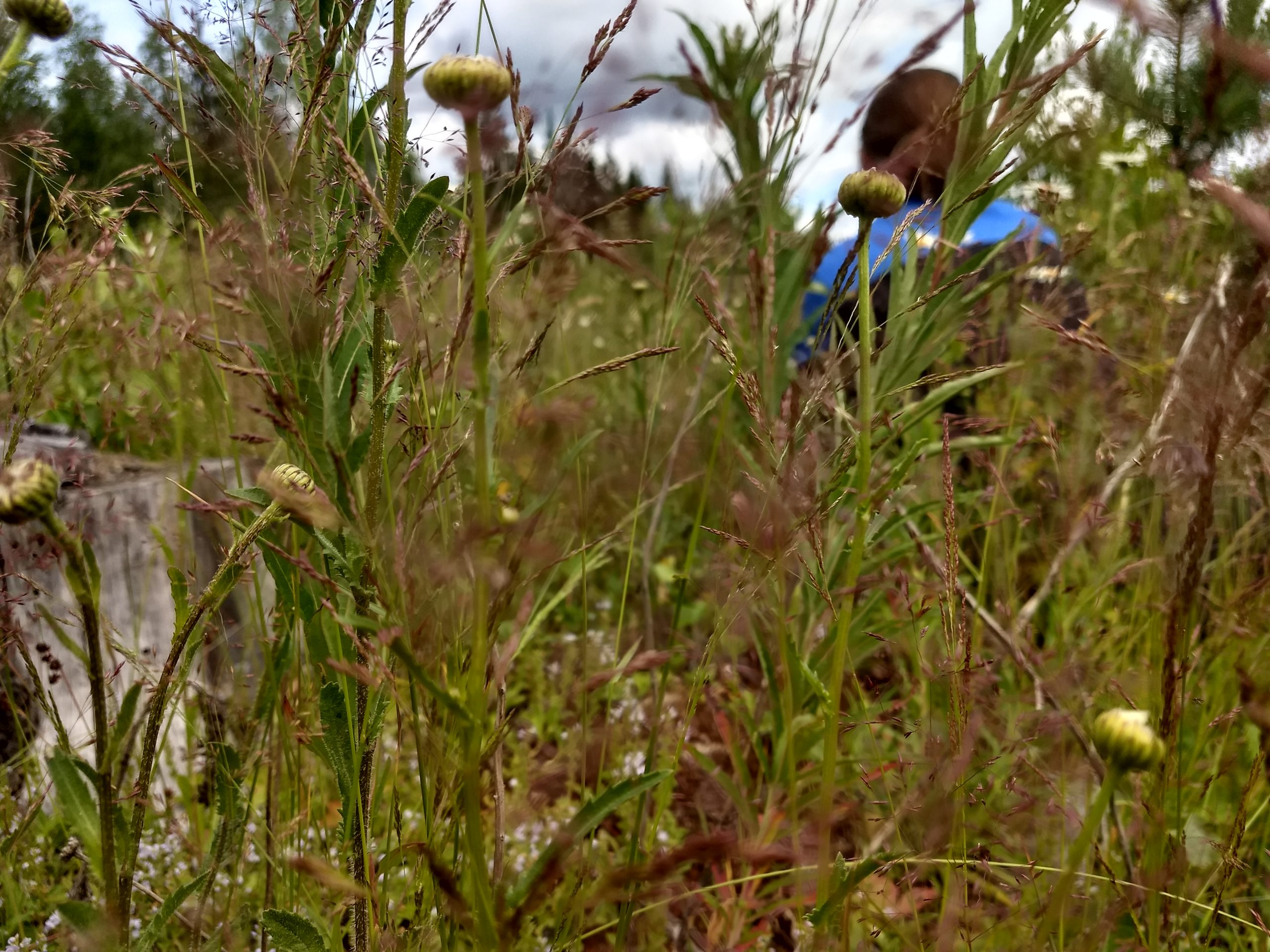 Жительница Иванова спасла от кражи соседскую шубу и еду Жительница Иванова спасла от кражи соседскую шубу и еду