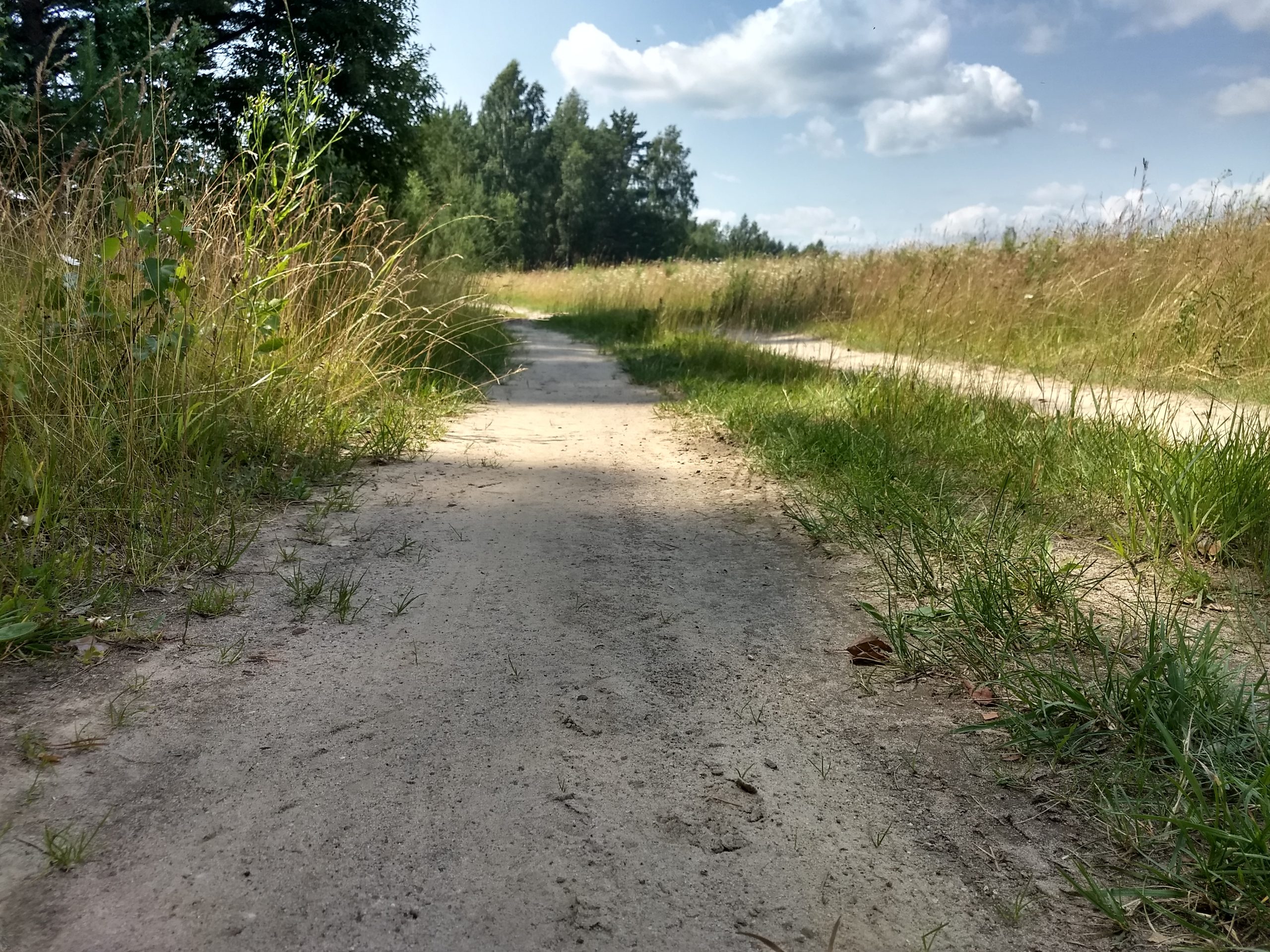 Авария на соревнованиях в Шуе: 12-летний мальчик умер от травм Авария на соревнованиях в Шуе: 12-летний мальчик умер от травм