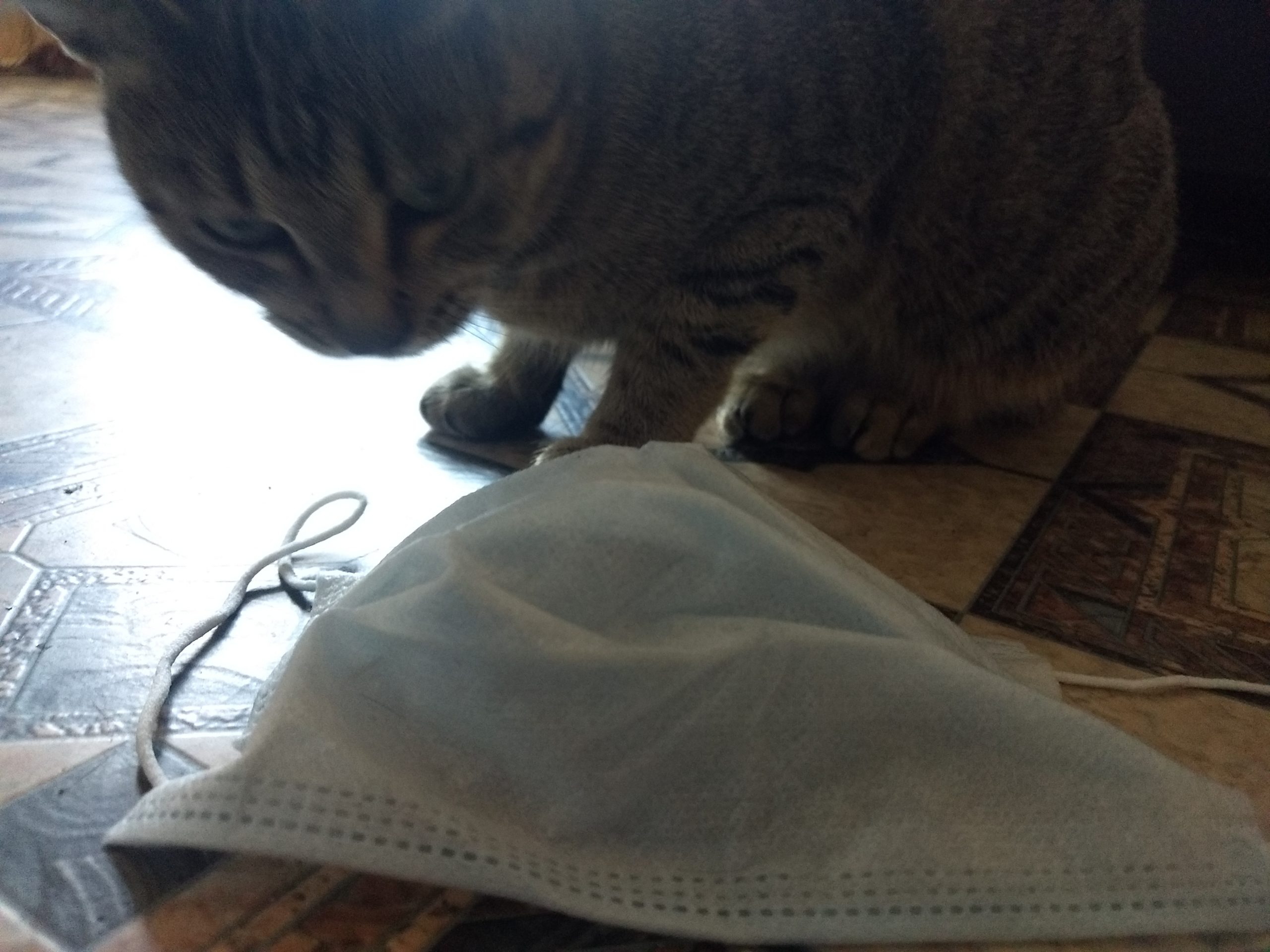 На 2 сентября в Иванове еще 38 случаев заражения коронавирусом На 2 сентября в Иванове еще 38 случаев заражения коронавирусом