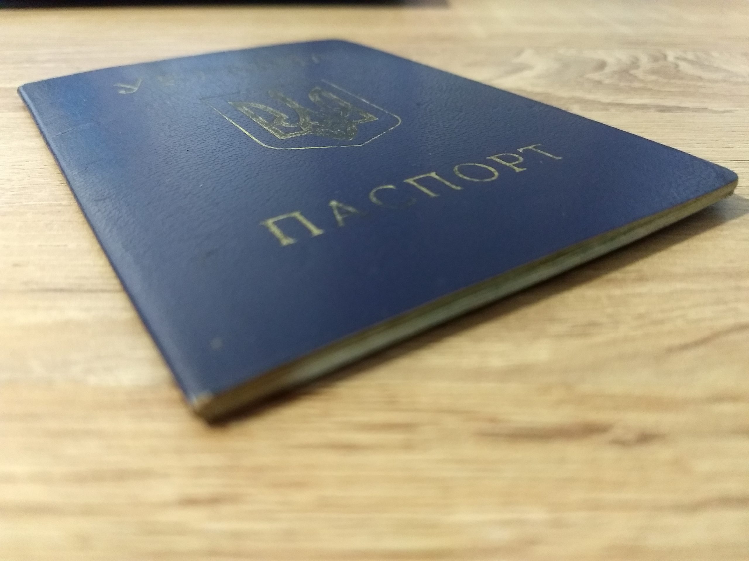 Эксперт права Егор Никитин объяснил разницу между двойным и вторым гражданством Эксперт права Егор Никитин объяснил разницу между двойным и вторым гражданством