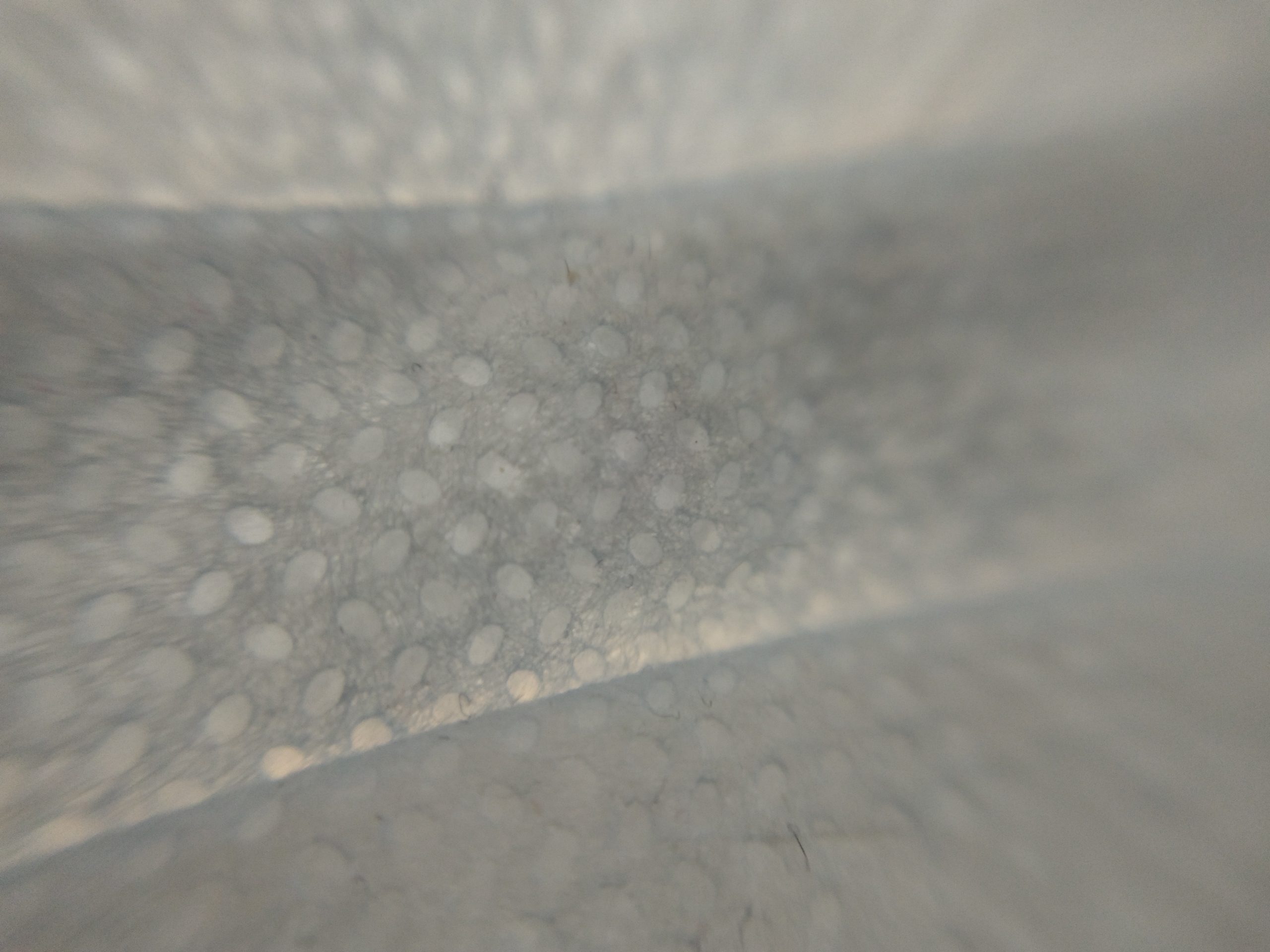 Еще 147 диагнозов «коронавирус» поставили в Иванове на 12 ноября Нужно ли носить маску на улице: да, в случае несоблюдения дистанции