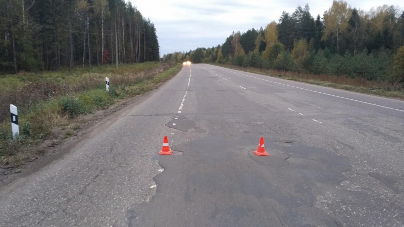 В Родниковском районе «Тойота» слетела в кювет: в ДТП трое пострадавших В Родниковском районе «Тойота» слетела в кювет: в ДТП трое пострадавших