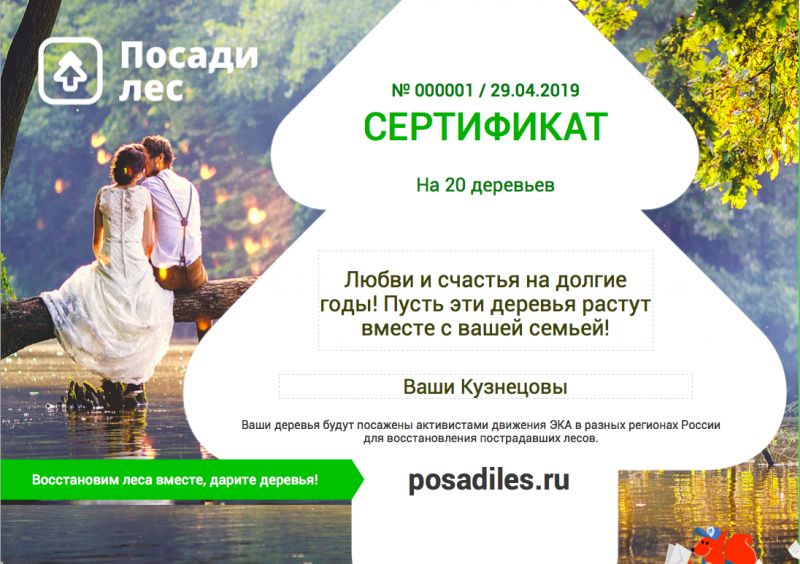 На свадьбу можно подарить лес На свадьбу можно подарить лес