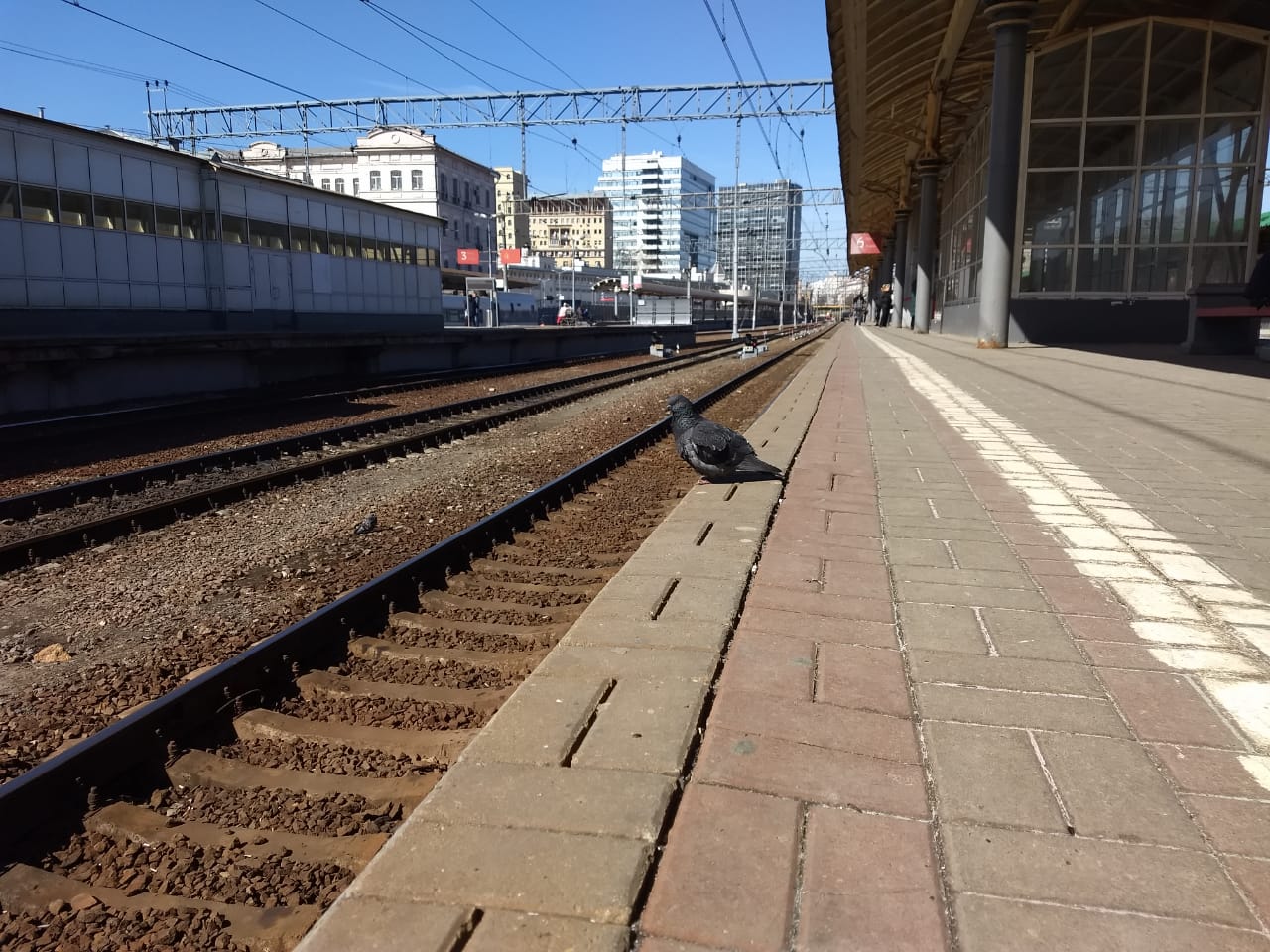 Поезд Иваново — Санкт-Петербург изменил график движения Поезд Иваново — Санкт-Петербург изменил график движения