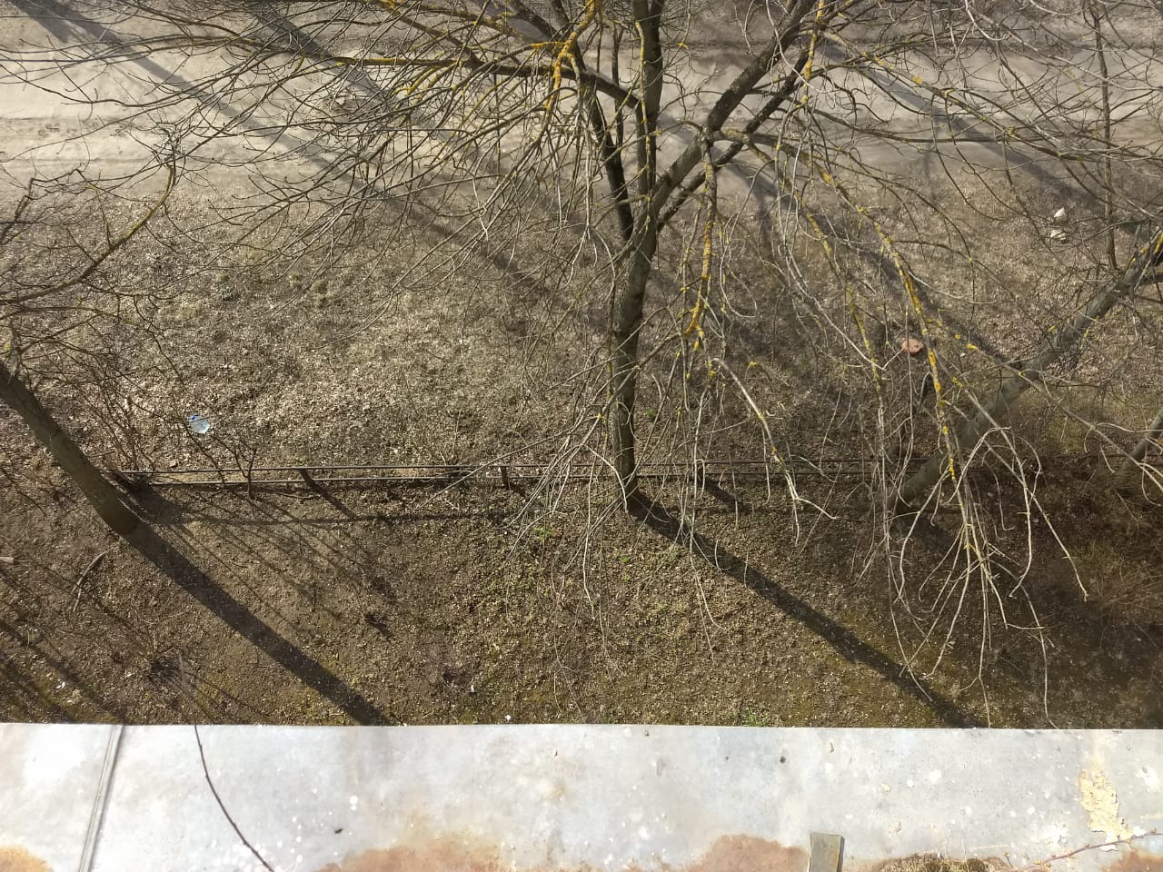 Гулять с детьми в режиме полной самоизоляции разрешат Гулять с детьми в режиме полной самоизоляции разрешат