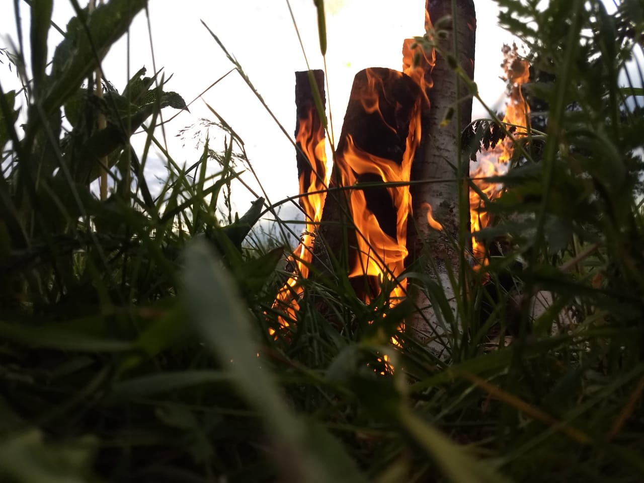 Самоизоляция в Иванове не отменена: с 16 июня режим частично ослаблен Самоизоляция в Иванове не отменена: с 16 июня режим частично ослаблен