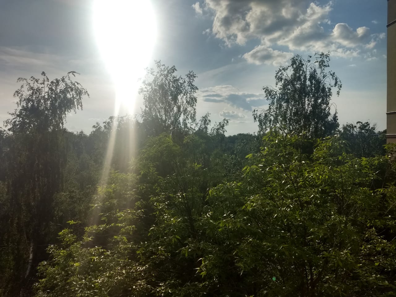 Режим самоизоляции в Ивановской области отменен почти для всех Режим самоизоляции в Ивановской области отменен почти для всех