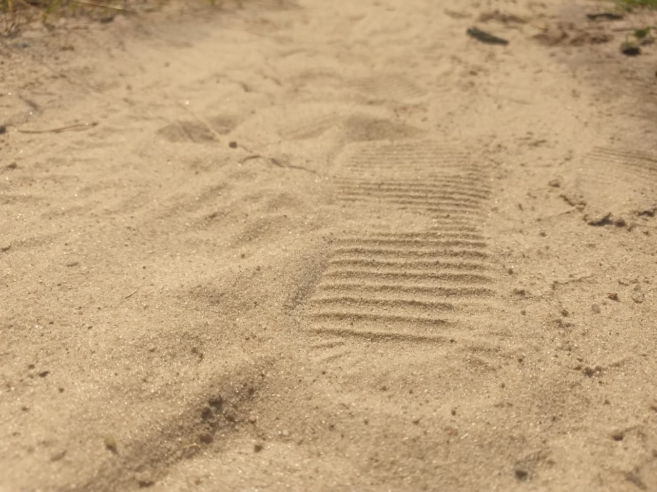 Можно ли в Иванове гулять в парках: ограничения сняты с 22 июля Можно ли в Иванове гулять в парках: ограничения сняты с 22 июля