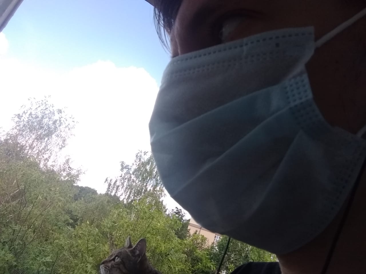 Еще 40 диагнозов «коронавирус» поставлено на 4 сентября в Ивановской области Еще 25 человек «подхватили» коронавирус на 7 августа