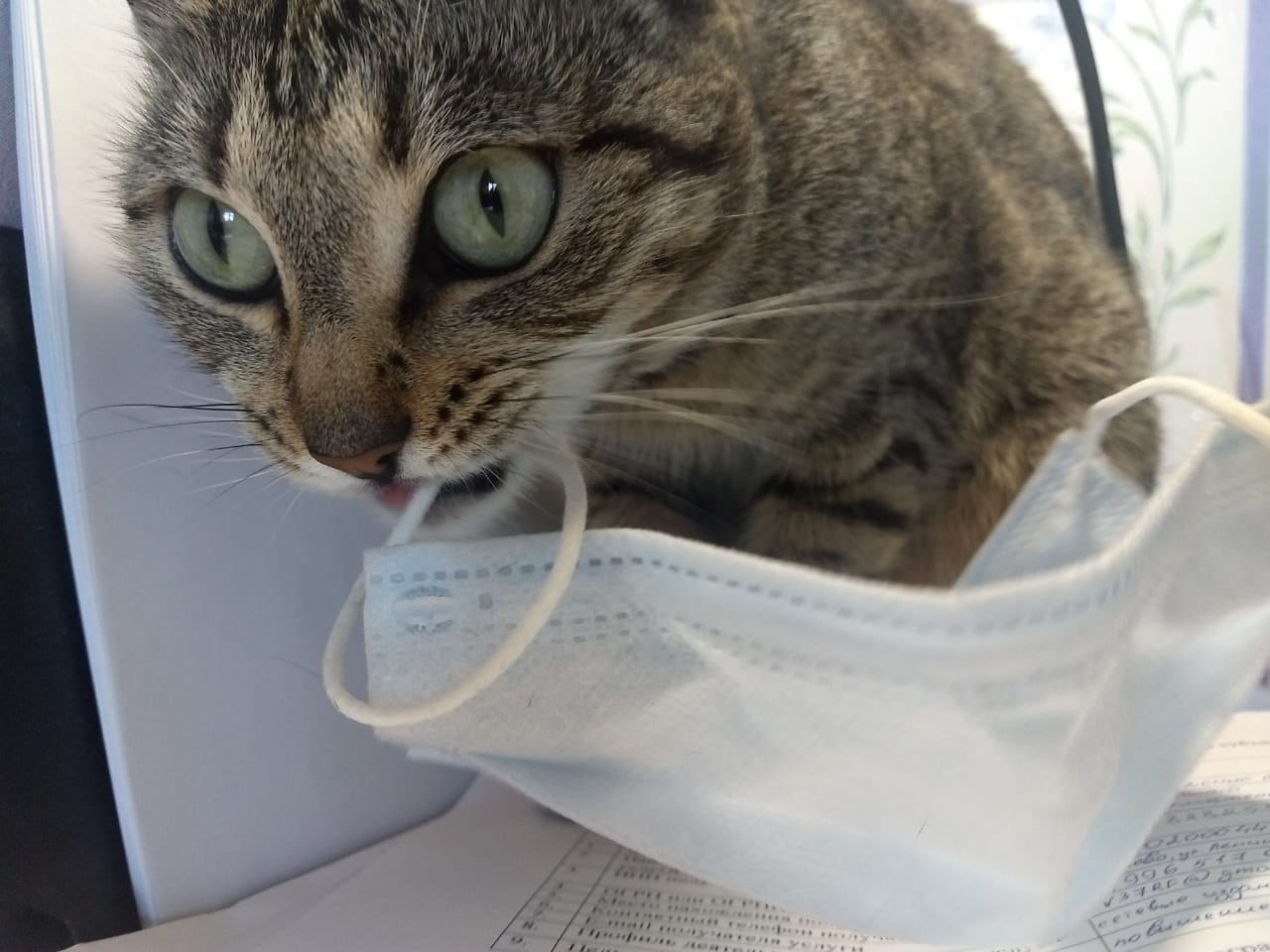 Коронавирус в Ивановской области по районам на 1 сентября Коронавирус в Ивановской области по районам на 7 августа