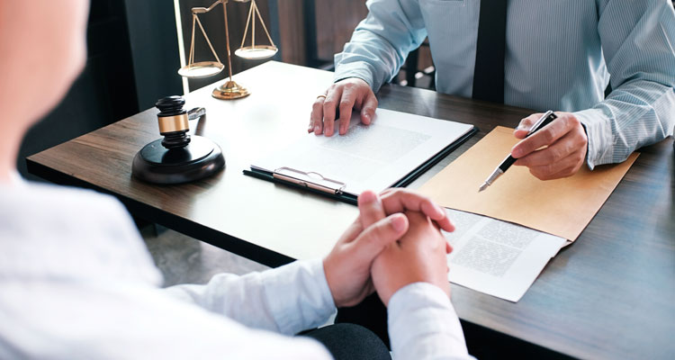 Виды адвокатов в России