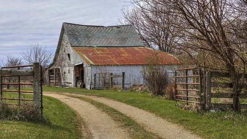 В Ивановской области массово штрафуют за брошенную землю В Ивановской области массово штрафуют за брошенную землю