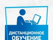 Преимущества и недостатки онлайн обучения