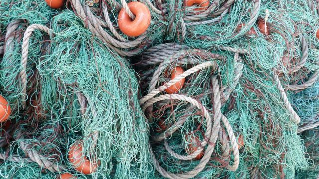 Жителя Комсомольского района осудили за незаконную ловлю рыбы Жителя Комсомольского района осудили за незаконную ловлю рыбы