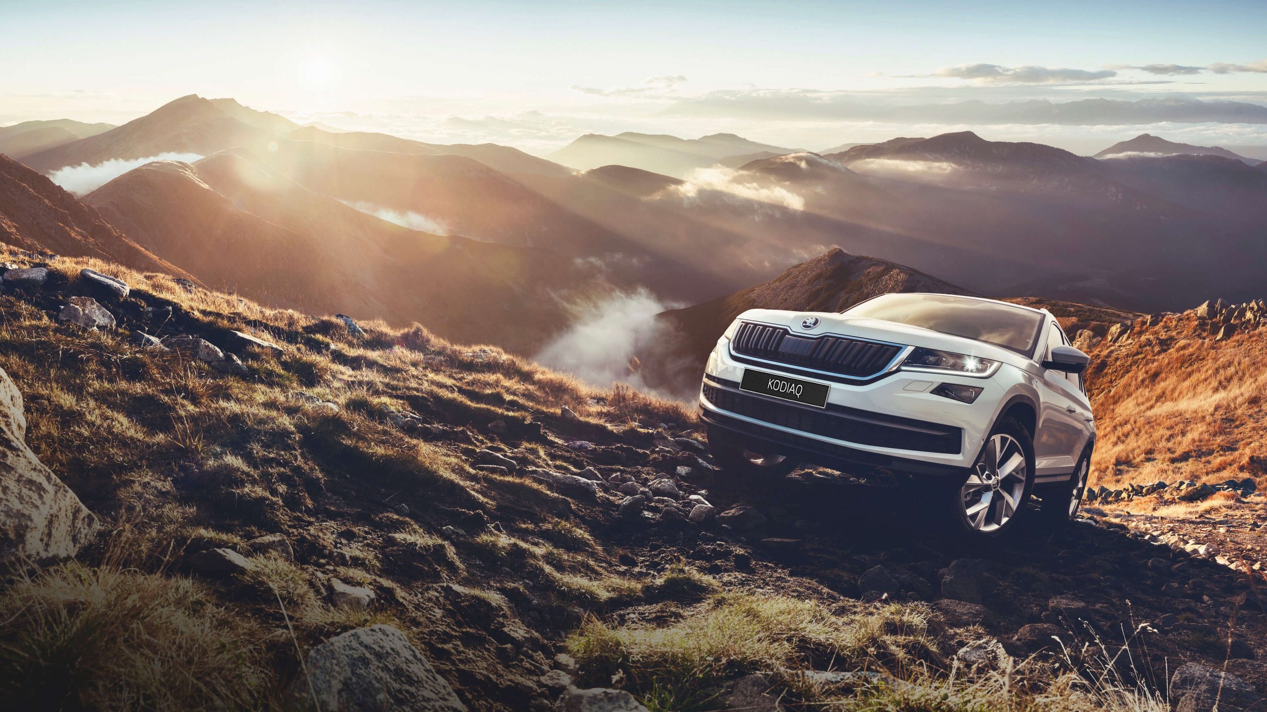 Ивановское Правительство купило две Skoda Kodiaq за 3,5 млн рублей Ивановское Правительство купило две Skoda Kodiaq за 3,5 млн рублей