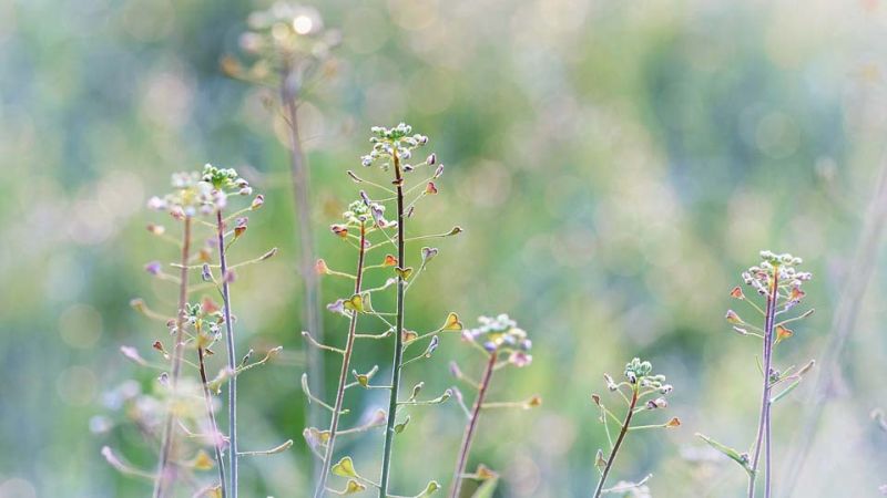 Жителя Ивановской области заставили заплатить 20 тысяч штрафа за брошенную землю Жительница Фурмановского района дважды заплатила за брошенную землю