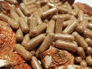 Польза микродозинга мухомора для организма