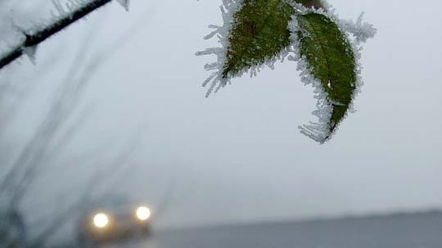 МВД рассказало, почему произошла авария на трассе Иваново – Родники МВД рассказало, почему произошла авария на трассе Иваново – Родники