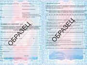 Справка для ГИБДД (ГАИ): как получить документ в России