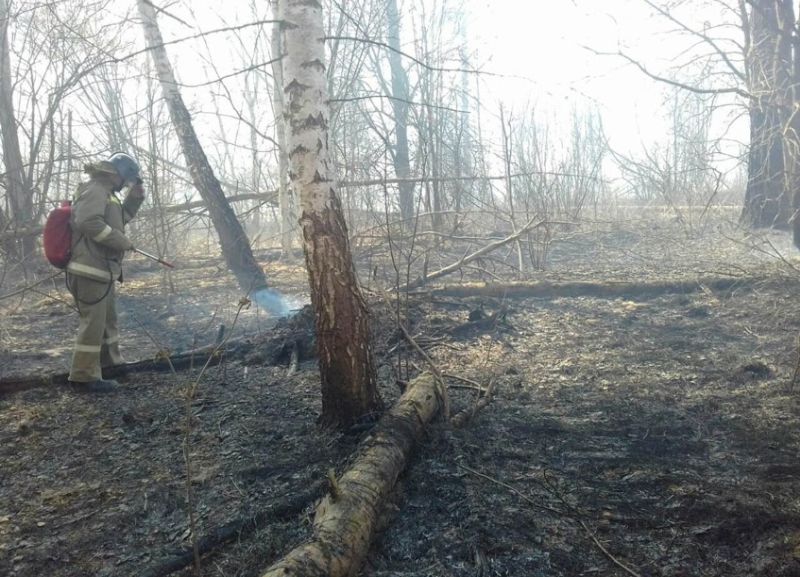 В Гаврилово-Посадском районе три часа тушили лесной пожар В Гаврилово-Посадском районе три часа тушили лесной пожар